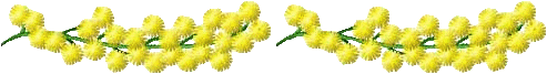 57.gif